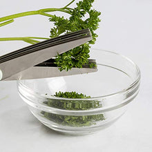 Load image into Gallery viewer, 2-Piece Herb Shear Set with Guards
