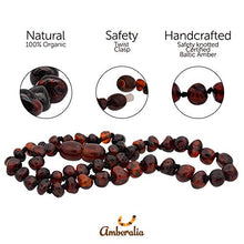 Load image into Gallery viewer, Amberalia knotted  Baltic Amber Necklace, Lab-tested, Certified Genuine Amber - SIZES FOR EVERYBODY - Boost immune System -Polish Cherry-  S (13”)

