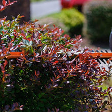 Load image into Gallery viewer, Scotts Outdoor Power Tools HT10020S 20-Inch 3.2-Amp Corded Electric Hedge Trimmer, Grey
