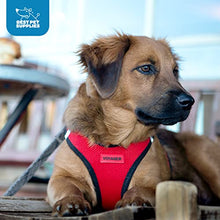 Load image into Gallery viewer, Voyager Step-in Air Dog Harness - All Weather Mesh Step in Vest Harness for Small and Medium Dogs by Best Pet Supplies - Pink (Matching Trim), XXS
