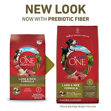 Load image into Gallery viewer, Purina ONE Natural Dry Dog Food, SmartBlend Lamb &amp; Rice Formula - 31.1 lb. Bag
