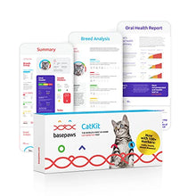 Load image into Gallery viewer, Basepaws Cat DNA Test | Breed + Health + Dental Report | Top Cat Breeds &amp; 115 Health &amp; Trait Markers | As Seen On Shark Tank
