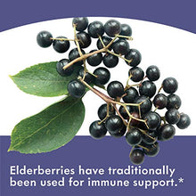 Load image into Gallery viewer, Nature's Way Sambucus Elderberry Gummies with Vitamin C &amp; Zinc, Gluten Free, Vegetarian, 60 Gummies
