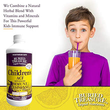 Load image into Gallery viewer, Childrens ACF Rapid Immune Recovery, Immune Booster &amp; Support for Kids, Herbal Blend with Vitamin C Elderberry Enchinacea, 16oz
