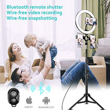 Load image into Gallery viewer, 10" LED Selfie Ring Light with 2 Tripod Stand &amp; 3 Cell Phone Holder 3 Lighting Modes 10 Dimmable Brightness for Live Streaming YouTube Video Photography Makeup Circle Light for iPhone Android Camera
