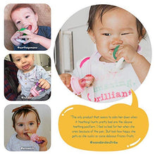 Load image into Gallery viewer, Baby Fruit Feeder Pacifier (2 Pack) - Fresh Food Nibbler, Infant Fruit Teething Toy, Food Grade Silicone Pouches for Toddlers &amp; Kids by Ashtonbee
