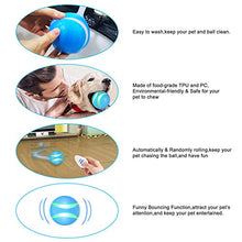 Load image into Gallery viewer, USB Rechargeable Smart Interactive Pet Toy Bounce Ball for Dog Cat,Built-in 1000mAh Battery,RGB Flashing LED Lights,360 Degree Auto Rolling/Turn Off,Washable Durable TPU Roller Wicked Toys (Blue)
