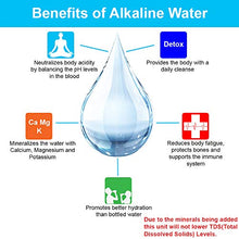 Load image into Gallery viewer, Apex Countertop Drinking Water Filter, Alkaline, Clear (MR-1050)
