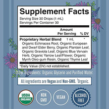 Load image into Gallery viewer, Lymphatic Drainage Drops | Lymphatic Drainage | USDA Organic Lymphatic Drainage for Immune Support | Lymphatic Support Supplement | Vegan | Non-GMO | Gluten Free | 1 Fl Oz
