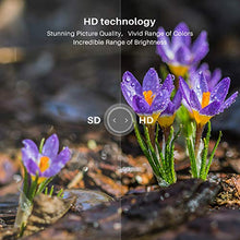 Load image into Gallery viewer, SANSUI 24 Inch TV 720P Basic S24 LED HD TV High Resolution Flat Screen Television Built-in HDMI,USB,VGA Ports - Refresh Rate 60Hz (2020 Model)
