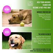 Load image into Gallery viewer, happyGree Best Calming Treats for Dogs: Product of USA- Helps with Hyperactive &amp; Aggressive Behavior + Anxiety Composure Relief, Storms, Barking, Separation and More- approx/170 Soft Chews
