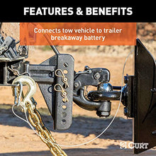 Load image into Gallery viewer, CURT 52010 Trailer Breakaway Switch
