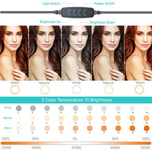 Load image into Gallery viewer, 10" LED Selfie Ring Light with 2 Tripod Stand &amp; 3 Cell Phone Holder 3 Lighting Modes 10 Dimmable Brightness for Live Streaming YouTube Video Photography Makeup Circle Light for iPhone Android Camera
