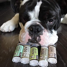 Load image into Gallery viewer, Natural Dog Company Powerhouse Travel Set - 5 Ct. TRIAL Sticks - Organic, All-Natural Healing Balms - Heals Cracked Paw Pads, Skin Fold Dermatitis &amp; Dry Nose
