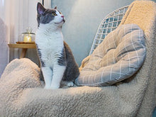Load image into Gallery viewer, furrybaby Premium Fluffy Fleece Dog Blanket, Soft and Warm Pet Throw for Dogs &amp; Cats (Small (2432"), Beige Blanket)
