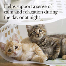 Load image into Gallery viewer, Nutri-Vet Pet-Ease Calming Paw Gel for Cats | Support for Cat Anxiety and Stress | Tasty &amp; Easy to Give | 3 Ounce Tube, Salmon
