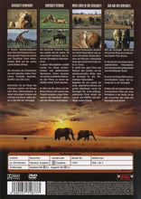 Load image into Gallery viewer, Serengeti - Circle of Life
