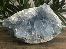 Load image into Gallery viewer, 4” Celestite Crystal Quartz Blue Celestite Druze Specimen Chakra. RS-370
