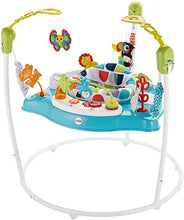 Load image into Gallery viewer, Fisher-Price Color Climbers Jumperoo
