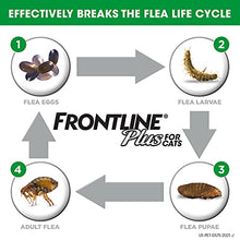 Load image into Gallery viewer, FRONTLINE Plus for Cats and Kittens (1.5 pounds and over) Flea and Tick Treatment, 3 Doses
