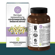 Load image into Gallery viewer, EverRoot Dog Supplement for Dog Anxiety Relief by Purina, Calming Chewable Tablet with Chamomile - 4.23 oz. Canister
