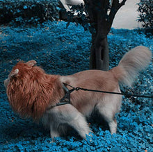 Load image into Gallery viewer, RWM Basting Brush &amp; Dog Lion Mane Constume-Love BBQ, Love Dog
