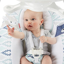 Load image into Gallery viewer, Fisher-Price Woodsy Wonders 2-in-1 Deluxe Cradle 'n Swing

