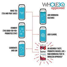 Load image into Gallery viewer, Humm Whole30 Approved Probiotic Kombucha Variety Pack - 2 Billion Probiotics - No Added Sugar - Organic, Vegan &amp; GMO-Free (12 Pack)
