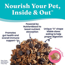 Load image into Gallery viewer, Solid Gold NutrientBoost Katz N Flocken - Dry Cat Food with Lamb, Rice &amp; Pearled Barley - Digestive Probiotics for Cats - Gut Health &amp; Immune Support - Grain Free - Superfood &amp; Antioxidant Support
