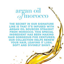 Load image into Gallery viewer, OGX Renewing + Argan Oil of Morocco Weightless Healing Dry Oil Spray, Lightweight Hair Oil Mist for Split Ends, Frizzy Hair and Flyaways, Paraben-Free, Sulfated-Surfactants Free, 4 Fl Oz
