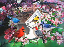 Load image into Gallery viewer, Buffalo Games - Among The Apple Blossoms - 1000 Piece Jigsaw Puzzle
