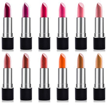 Load image into Gallery viewer, SHANY Slick &amp; Shine Lipstick Set - 12 Matte color Long Lasting &amp; Moisturizing Lip Colors with Vitamin E and Aloe Vera.
