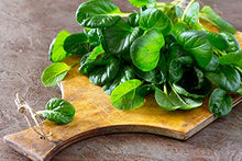 Load image into Gallery viewer, Naturevibe Botanicals Organic Spinach Powder, 1lbs | Non-GMO and Gluten Free | Rich in Vitamins | Boost Immune System..[Packaging may vary]
