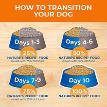 Load image into Gallery viewer, Nature’s Recipe Healthy Skin Vegetarian Recipe Dry Dog Food, 24 Pound Bag
