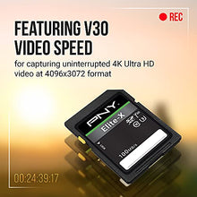 Load image into Gallery viewer, PNY 256GB Elite-X Class 10 U3 V30 SDXC Flash Memory Card - 100MB/s, Class 10, U3, V30, 4K UHD, Full HD, UHS-I, Full Size SD
