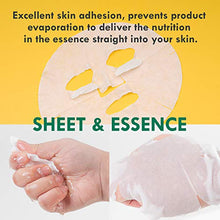 Load image into Gallery viewer, DERMAL 12 Pack Combo Best Value Set Collagen Essence Mask Sheet | Sodium Hyaluronate &amp; Hydrolyzed Collagen Nature Made Fresh Mask | Best Korean Skin Care Mask
