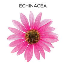 Load image into Gallery viewer, Similasan Kids Cold &amp; Mucus Relief Syrup Plus Echinacea 4 Oz
