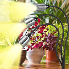 Load image into Gallery viewer, CWH&amp;WEN Plant Grow Light, Grow Lamp Full Spectrum with Auto ON &amp;Off Timer 3/9/12H for Indoor Plants, 3 Heads Grow Bulbs, USB+AC Adapter for Seedlings and Succulents
