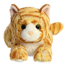 Load image into Gallery viewer, Aurora - Flopsie - 12" Ginger Cat
