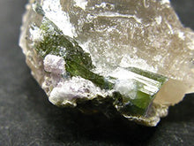 Load image into Gallery viewer, Green Tourmaline Crystal On Quartz Matrix From Brazil - 1.1"
