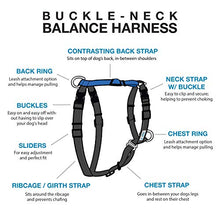 Load image into Gallery viewer, Blue-9 Pet Products Buckle-Neck Balance Harness, 6-Point Adjustable No-Pull Harness, Ideal for Dog Training, Made in The USA, Sky Blue, Medium

