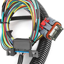 Load image into Gallery viewer, HPI 03-07 LS Vortec Standalone Harness 4.8 5.3 6.0 (Drive by Wire) (Green/Blue PCM) &amp; MULTEC/Delphi, Fuel Injector CONNECTORS (T56 (Non Electric) DBW)
