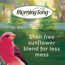 Load image into Gallery viewer, Morning Song 11959 Clean &amp; Free Shell Free Wild Food Premium No Mess Bird Seed for Outside Feeders, 10 lb
