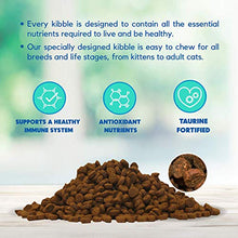 Load image into Gallery viewer, Lucy Pet Products Formulas for Life - Sensitive Stomach &amp; Skin Dry Cat Food, All Breeds &amp; Life Stages - Salmon, Pumpkin, &amp; Quinoa, 4 LB Bag
