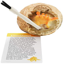 Load image into Gallery viewer, Dig a Dozen Dino Egg Dig Kit - Easter Egg Dinosaur Toys for Kids - Dig up 12 Eggs &amp; Discover Surprise Dinosaurs. Science STEM Activities - Educational Gifts for Boys &amp; Girls Age 3-5 5-7 8-12 Year Old
