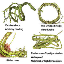 Load image into Gallery viewer, kathson Reptile Vines Plants Flexible Bendable Jungle Climbing Vine Terrarium Plastic Plant Leaves Pet Tank Habitat Decor for Bearded Dragons Lizards Geckos Snakes Hermit Crab Frogs and More Reptiles
