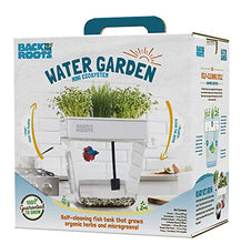 Load image into Gallery viewer, Back to the Roots Water Garden, Self-Cleaning Fish Tank That Grows Food, Mini Aquaponic Ecosystem (Great Gardening Gift &amp; Family Project), 3 Gallons
