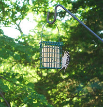 Load image into Gallery viewer, Wildlife Sciences Suet Plus Variety 6 Pack

