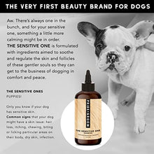 Load image into Gallery viewer, Pride and Groom The Sensitive One Dog Shampoo – All Natural Blend of Essential Oils &amp; Gentle Ingredients for Puppies &amp; Dogs with Sensitive Skin &amp; Coats to Soothe and Regulate Skin &amp; Follicles – 16oz
