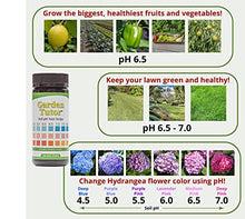 Load image into Gallery viewer, Garden Tutor Soil pH Test Kit (3.5-9 Range) | 100 Soil pH Test Strips
